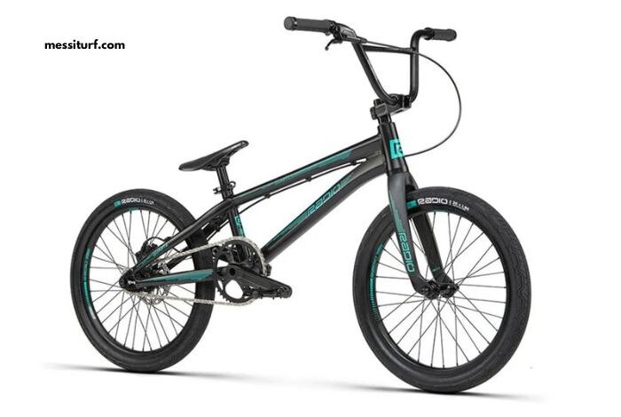 Xxl Pro 2021