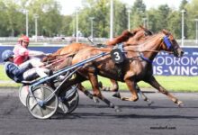 Le Gagnant Turf