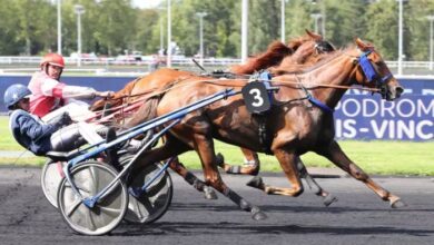 Le Gagnant Turf