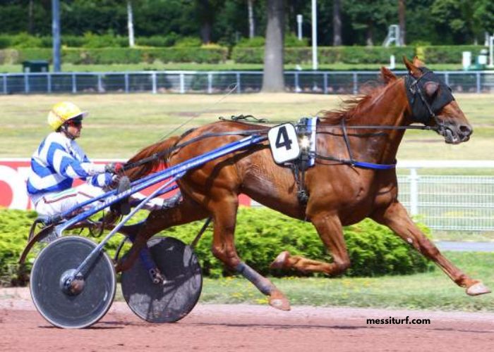 Le Trio Gagnant Du Jour