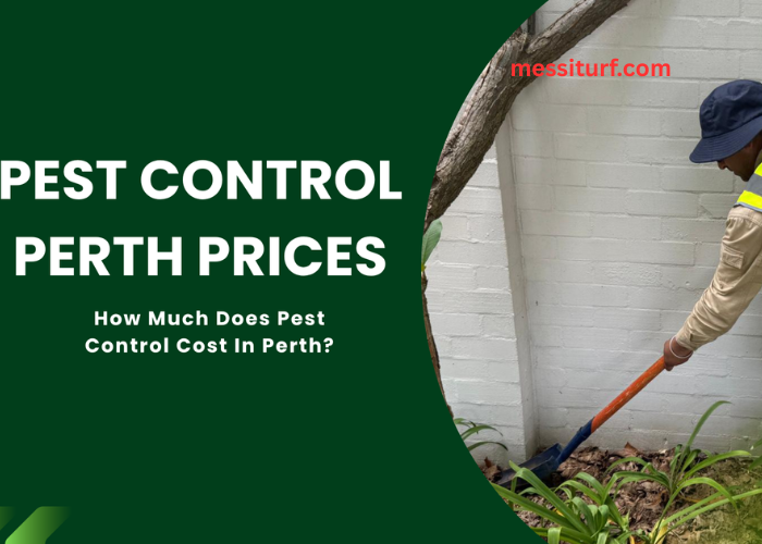 Easy Pest Control Strategies for Perth Homes (Complete Guide)
