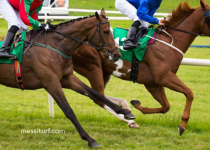 What Is Horse Turf? A Beginner’s Guide