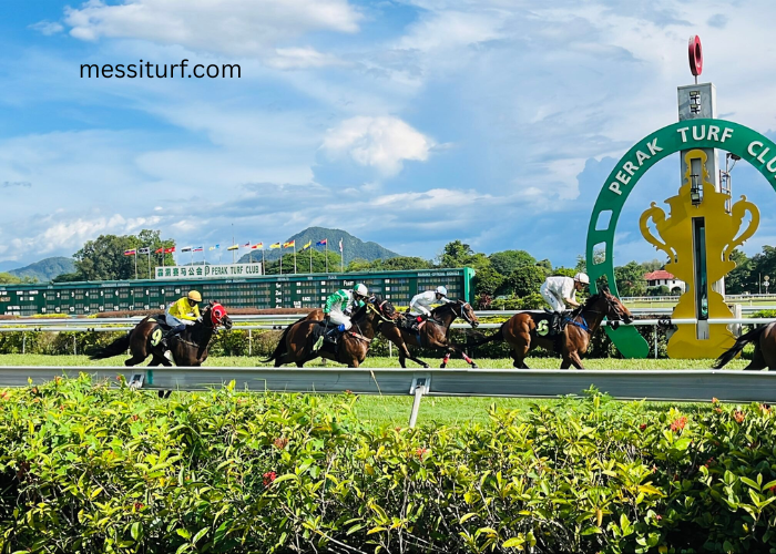 Digital Transformation in Turf Racing