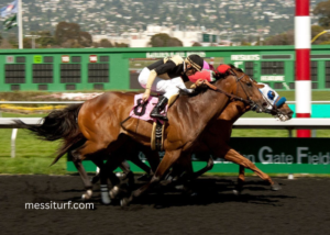 7 Myths About Synthetic Horse Turf Debunked