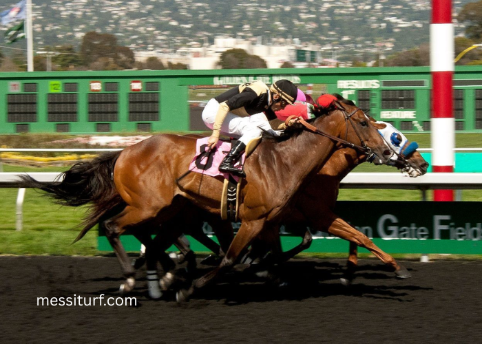 7 Myths About Synthetic Horse Turf Debunked