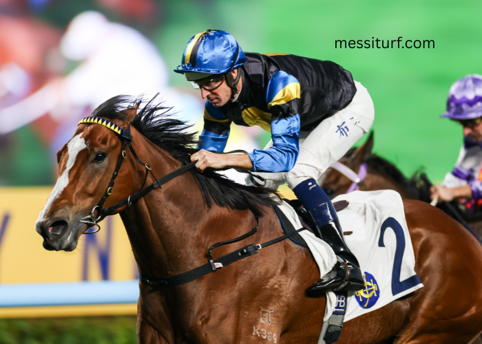 Iconic Turf Trainers and Their Secrets