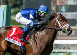 Top 10 Richest Turf Races in the World